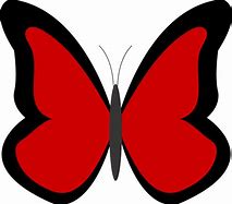 Image result for Red Butterfly Animated