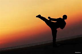 Image result for Japanese Man Karate Kick