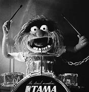 Image result for Animal Drummer