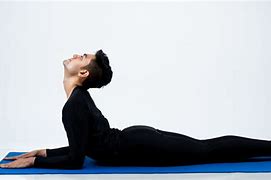 Image result for Bhujangasana Pose