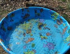 Image result for Duckweed for Chickens