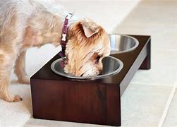 Image result for Zombie Dog Bowls