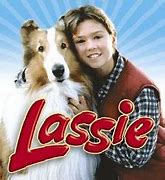 Image result for Lassie Show