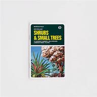 Image result for New Zealand Shrubs