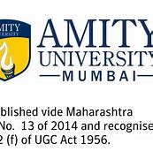 Image result for Amity University Logo Light