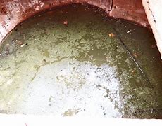 Image result for Dirty Well Water