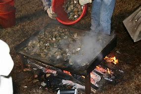 Image result for Oyster Roast