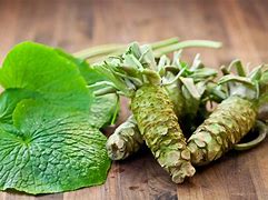 Image result for Japanese Wasabi