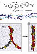 Image result for A Double Helix and a Polymer