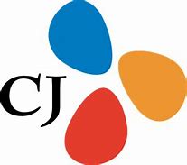 Image result for CJ Finance Logo