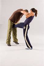 Image result for Krav Maga Kick