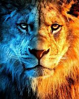 Image result for Fire and Ice Lion