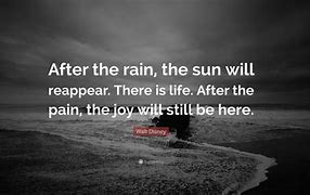 Image result for Cat Rain Quote