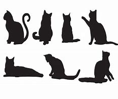 Image result for Cat SVG