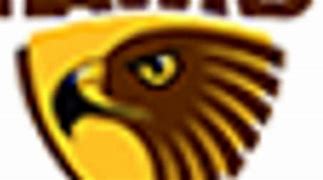 Image result for Hawthorn Football Club Logo