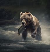 Image result for Bear with Fish