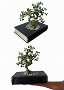 Image result for Book Plant Pot