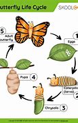 Image result for Bug's Life Butterfly