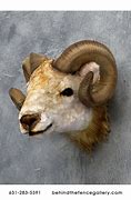 Image result for Wall RAM Mount