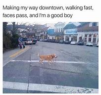 Image result for Walk 5,000 Miles Meme