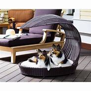 Image result for Specialty Dog Beds