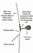 Image result for Bolt Rigs for Carp