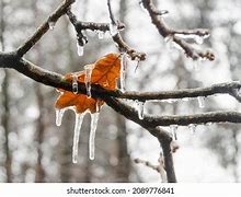 Image result for Icicles Funny