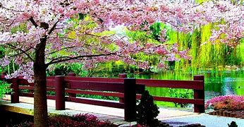 Image result for Think Spring Screensavers