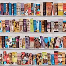 Image result for Stack of Books Chibi