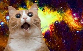 Image result for Outer Space Cat Meme