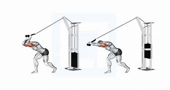 Image result for Hip Extension Pulley