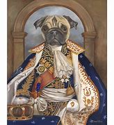 Image result for Snookie the Pug Pug