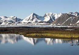 Image result for Arctic Tundra Biome Climate