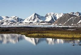 Image result for Tundra Biome North America