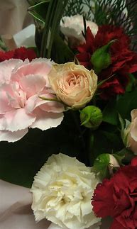 Image result for Christmas Pink and Red Rose Arrangement