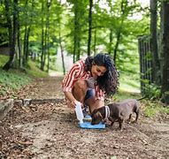 Image result for Travel Dog Water