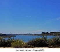 Image result for Upper Newport Bay Nature Preserve