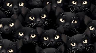 Image result for Black Cat Background 4K