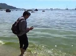 Image result for Hijau Laut