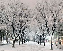 Image result for Korea Winter Wallpaper