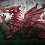 Image result for Welsh Dragon Flag