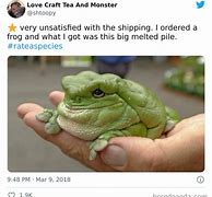 Image result for Lonely Frog Meme