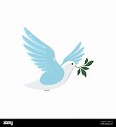 Image result for White Dove with Olive Branch