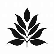 Image result for Leaf Colka Design