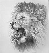 Image result for Simple Lion Drawing Pencil