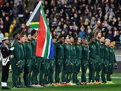 Image result for South African Rugby World Cup Squad