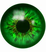 Image result for Greenish Yellow Eyes Logo