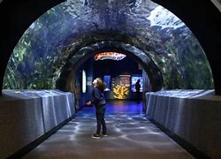 Image result for Cincinnati Aquarium