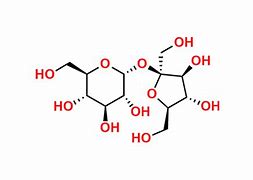 Image result for What Is Sucrose