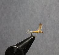 Image result for Fly Fishing Tying